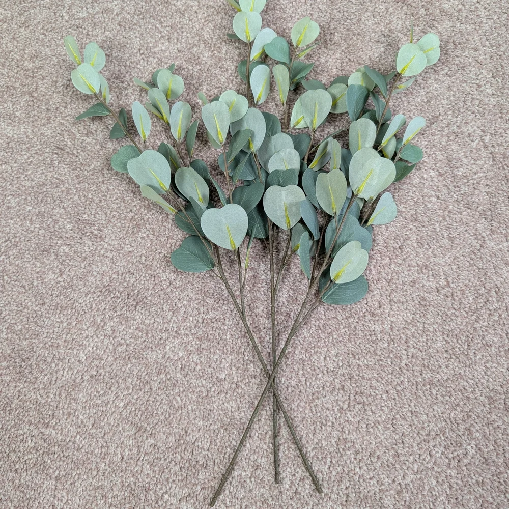 Elegant Green Eucalyptus Stems